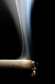 Cigarette_smoke.jpg