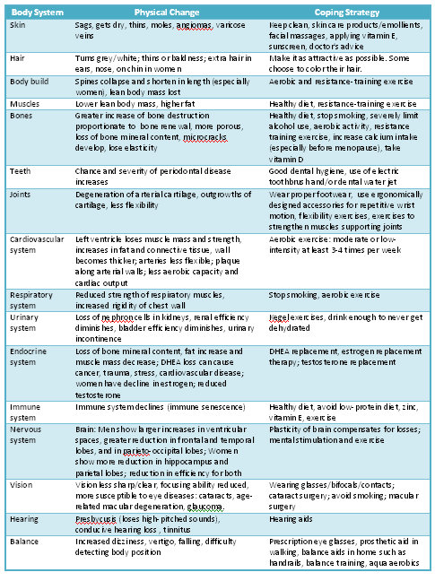 Table_Body_System.jpg