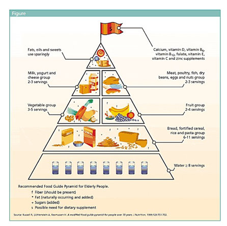 Modified_Food_Pyramid.jpg